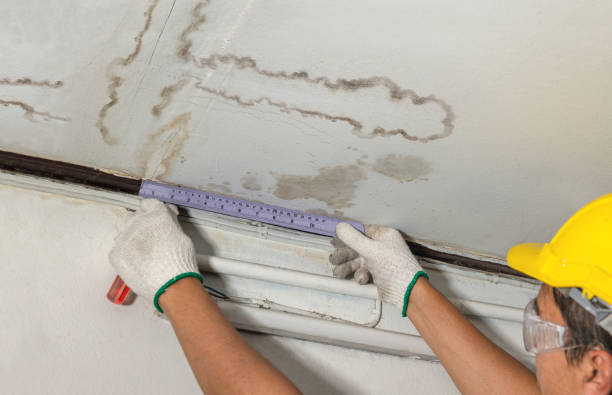 Reliable Burst Pipe Cleanup contractor in Thorn Hill, TN by Water Damage Irwin